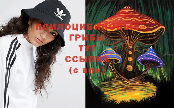 гидропоника Баксан