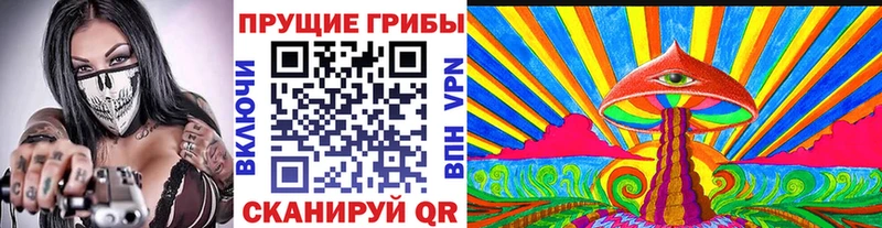 Псилоцибиновые грибы прущие грибы  ОМГ ОМГ ТОР  Зеленогорск  купить наркоту 